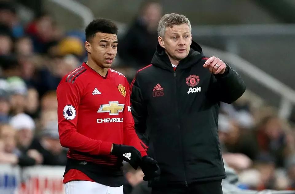 在体育的世 在体育的世